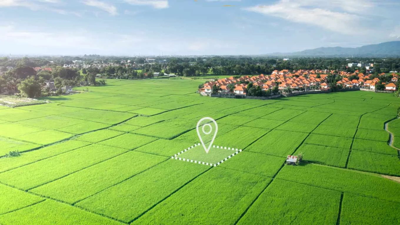DDJAY Plots in Jhajjar